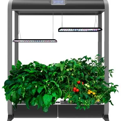 AeroGarden - Farm 24XL With Salad Bar Seed Pod Kit - Hydroponic Indoor Garden - Black 5 AeroGarden - Farm 24XL With Salad Bar Seed Pod Kit - Hydroponic Indoor Garden - Black - Image 5