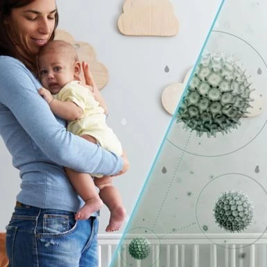 Shark - Cordless Pet Plus Stick Vacuum With Anti-Allergen Complete Seal & PowerFins, Self-Cleaning Brushroll - Blue 13 Shark - Cordless Pet Plus Stick Vacuum With Anti-Allergen Complete Seal & PowerFins, Self-Cleaning Brushroll - Blue - Image 13