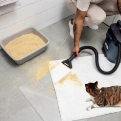 Shark - MessMaster Portable Wet/Dry Vacuum, 1 Gallon Capacity, Corded, Handheld, Perfect For Pets & Cars - Blue -Blender Spark Deals Store 60a22abf 1e31 50f0 84e2 656f30ef9ee9