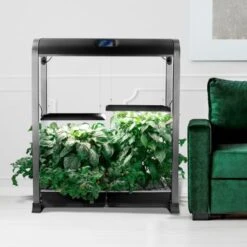 AeroGarden - Farm 24XL With Salad Bar Seed Pod Kit - Hydroponic Indoor Garden - Black 12 AeroGarden - Farm 24XL With Salad Bar Seed Pod Kit - Hydroponic Indoor Garden - Black -Blender Spark Deals Store 729acb7a eb33 5a59 a752 c85b5247bb3f