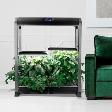 AeroGarden - Farm 24XL With Salad Bar Seed Pod Kit - Hydroponic Indoor Garden - Black 6 AeroGarden - Farm 24XL With Salad Bar Seed Pod Kit - Hydroponic Indoor Garden - Black - Image 6