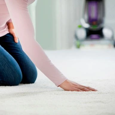 BISSELL - ProHeat 2X Revolution Pet Pro Plus Carpet Cleaner - Silver/purple 5 BISSELL - ProHeat 2X Revolution Pet Pro Plus Carpet Cleaner - Silver/purple - Image 5