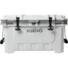 Igloo - IMX 70 Quart Cooler - White