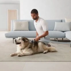 Dyson - Ball Animal 3 Extra Upright Vacuum - Copper/Silver 21 Dyson - Ball Animal 3 Extra Upright Vacuum - Copper/Silver -Blender Spark Deals Store cc2ecd7b a0b9 5088 b4e4 45095e804a6b