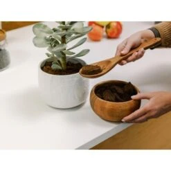 De'Longhi TrueBrew Automatic Single Serve, 8 Oz To 24 Oz Coffee Maker With Bean Extract Technology - Stainless -Blender Spark Deals Store e2f3ec46 31fd 5e02 a47a e4698b07c006