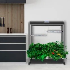 AeroGarden - Farm 24XL With Salad Bar Seed Pod Kit - Hydroponic Indoor Garden - Black 9 AeroGarden - Farm 24XL With Salad Bar Seed Pod Kit - Hydroponic Indoor Garden - Black -Blender Spark Deals Store f28e28ce c453 5032 86a0 efaf962a47bf