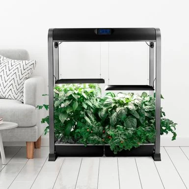 AeroGarden - Farm 24XL With Salad Bar Seed Pod Kit - Hydroponic Indoor Garden - Black 4 AeroGarden - Farm 24XL With Salad Bar Seed Pod Kit - Hydroponic Indoor Garden - Black - Image 4